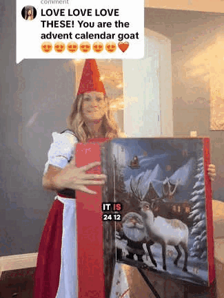 🎅2025 Christmas Handcrafted Gnomes Advent Calendar